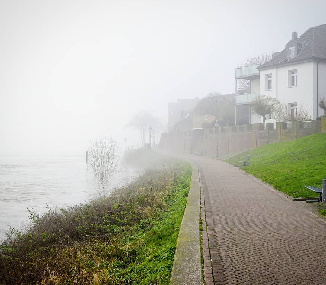 Fog⠀