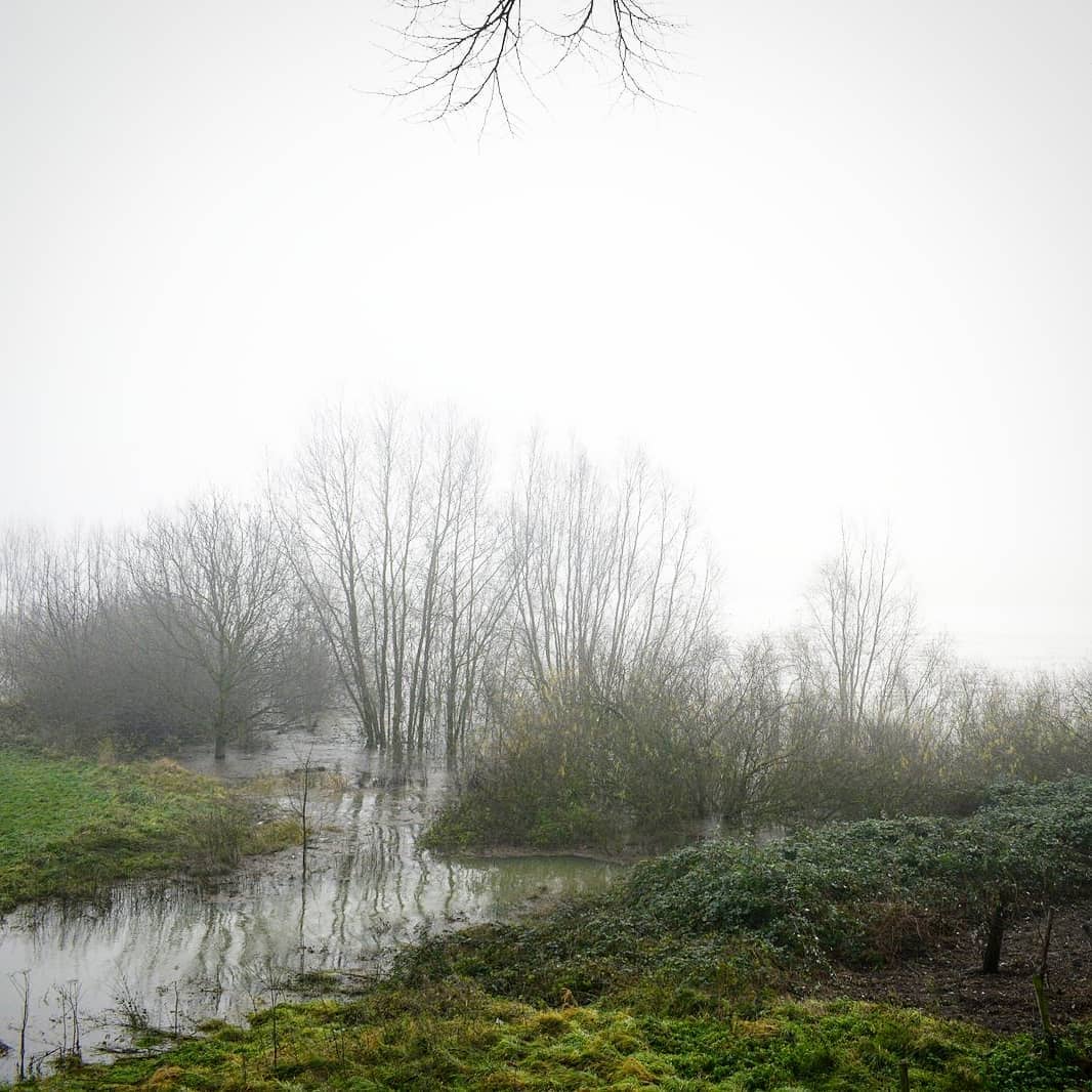Fog over Rhine⠀