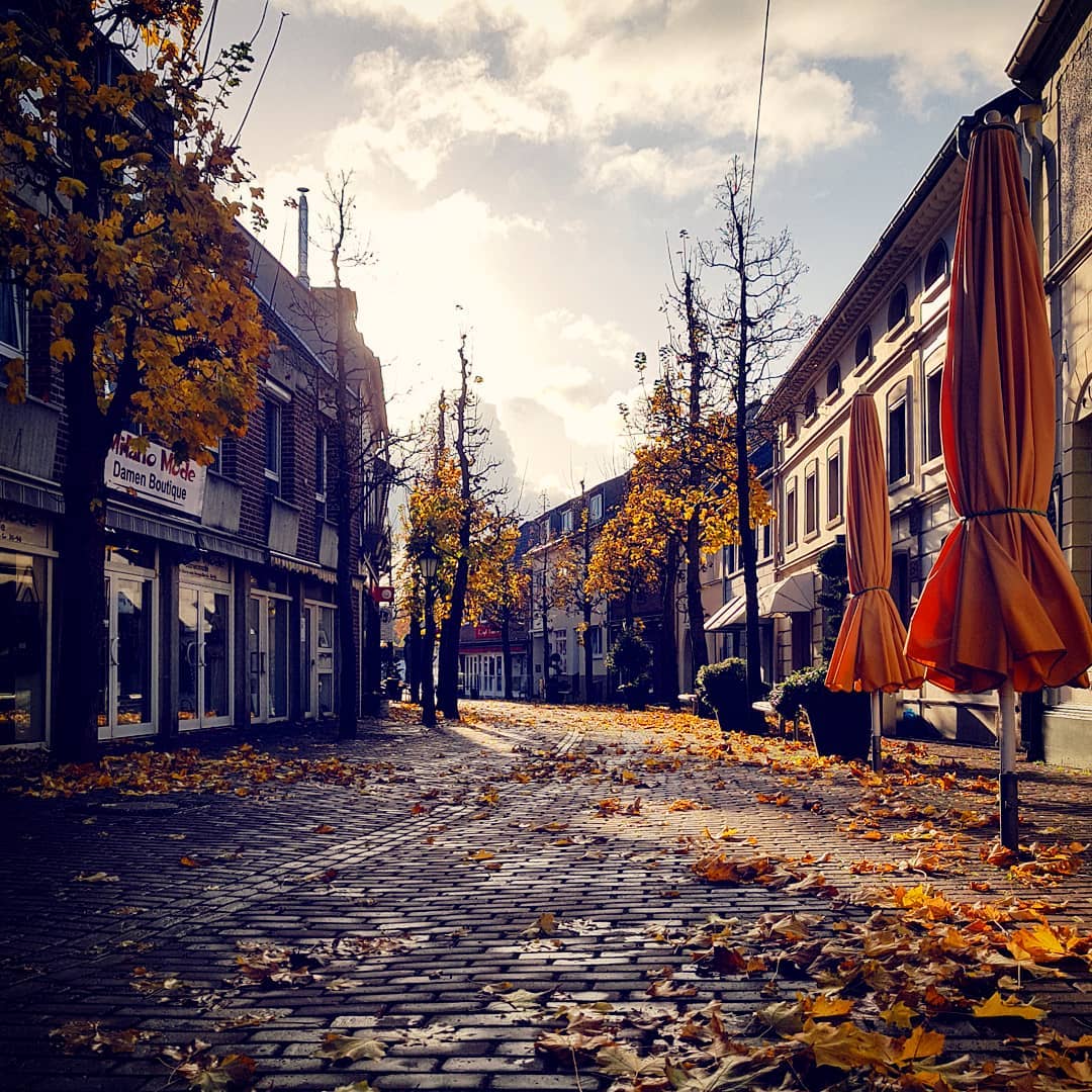 Colors of autumn.