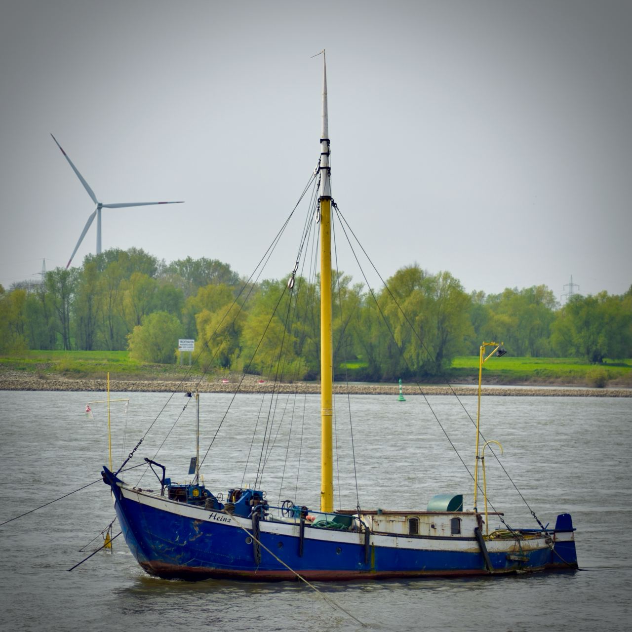 Aalschokker "Heinz"