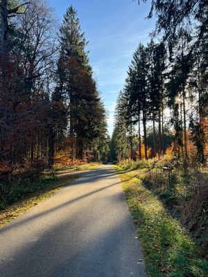 Где трепещут осины